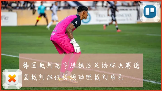 韩国裁判高亨进执法足协杯决赛德国裁判担任视频助理裁判角色