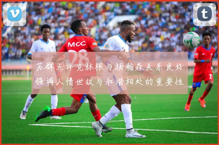 苏群点评克林根与杨瀚森关系良好强调人情世故与和谐相处的重要性