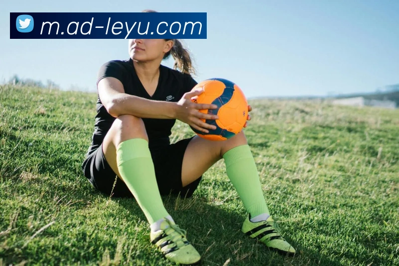 乐鱼体育平台生态图