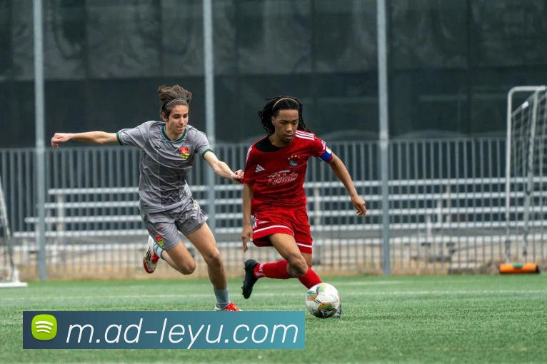 乐鱼体育APP 封面图